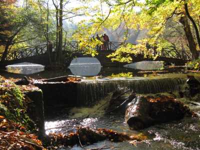 Yedigöller Milli Parkı